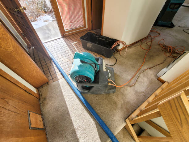 Best Emergency water damage restoration  in Clendenin, WV