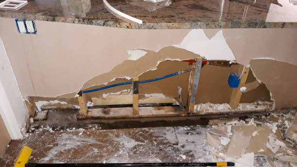 Best Water damage restoration services  in Clendenin, WV
