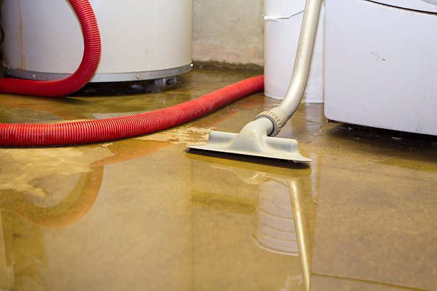 Best Local water damage restoration  in Clendenin, WV