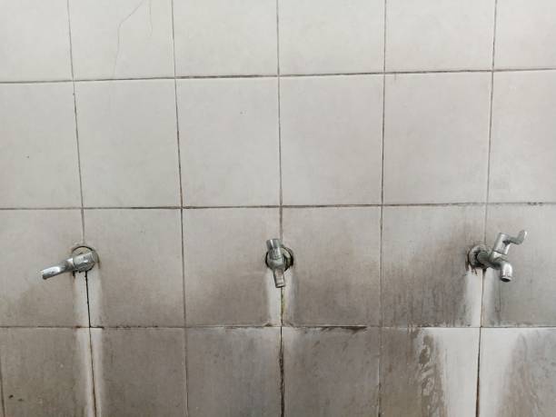 Best 24/7 water damage repair  in Clendenin, WV