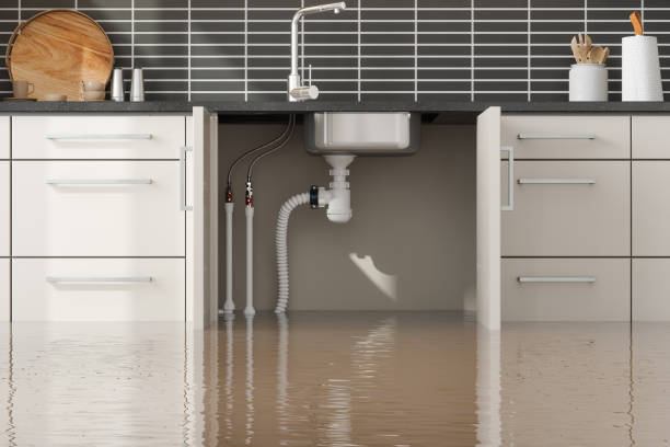 Best Water damage cleanup near me  in Clendenin, WV